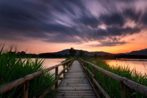 Canva---Timelapse-Photography-of-Wooden-Bridge-Near-Body-of-Water