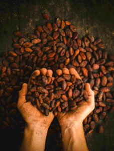 Do You Like Chocolate?